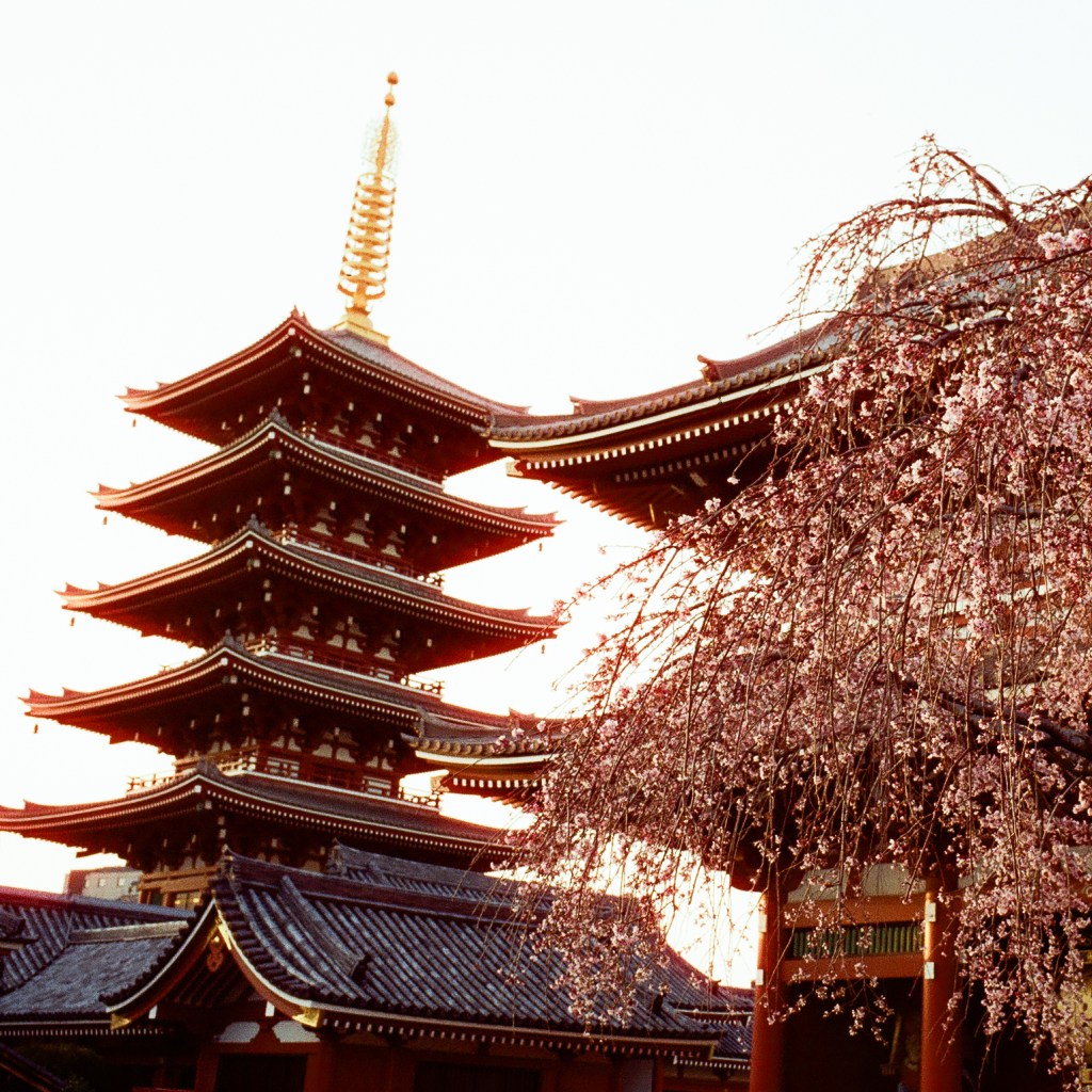 Tokyo on Film: A 3-Day Street Photography&nbsp;Journal